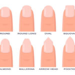 Nail Shapes